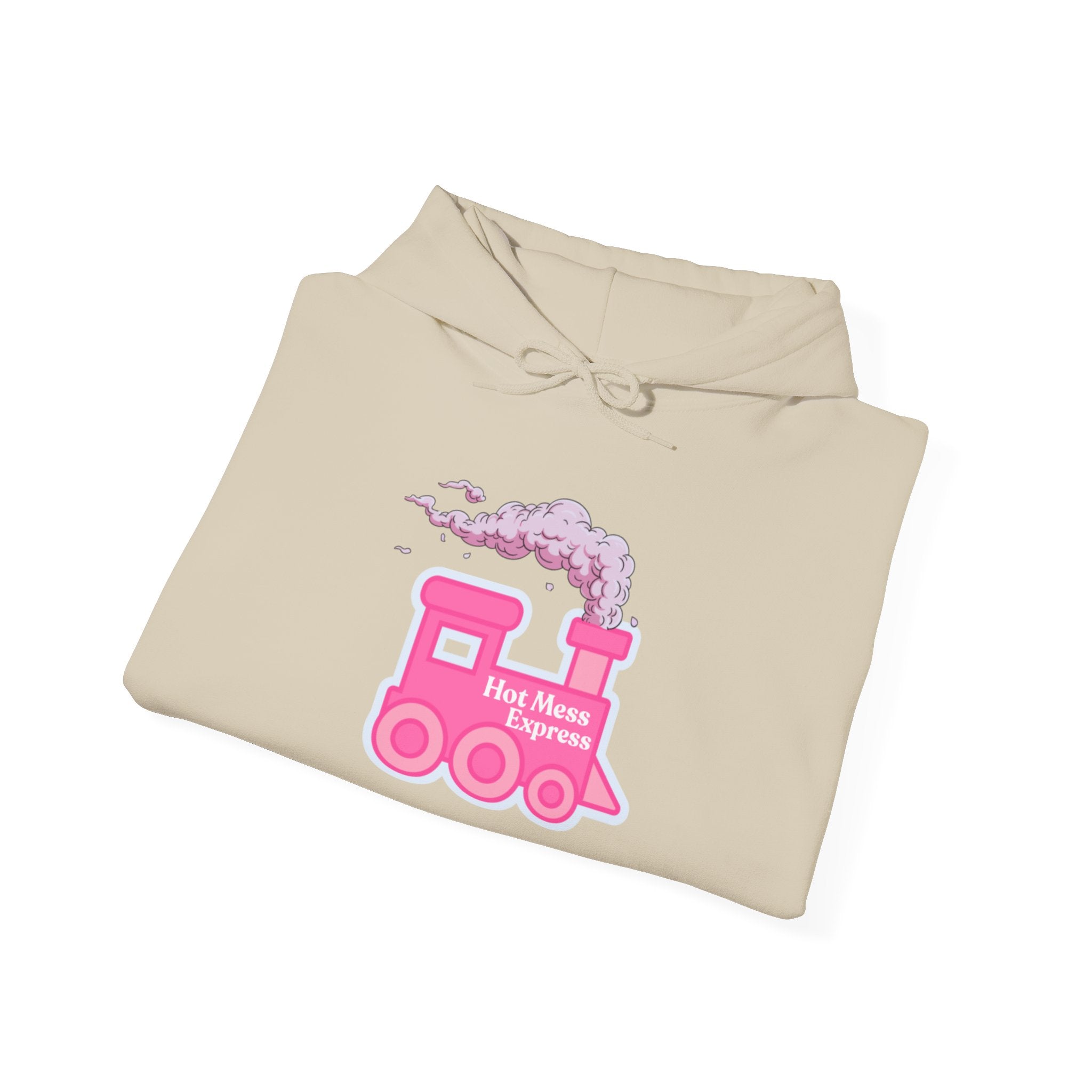 Hot Mess Express Hoodie