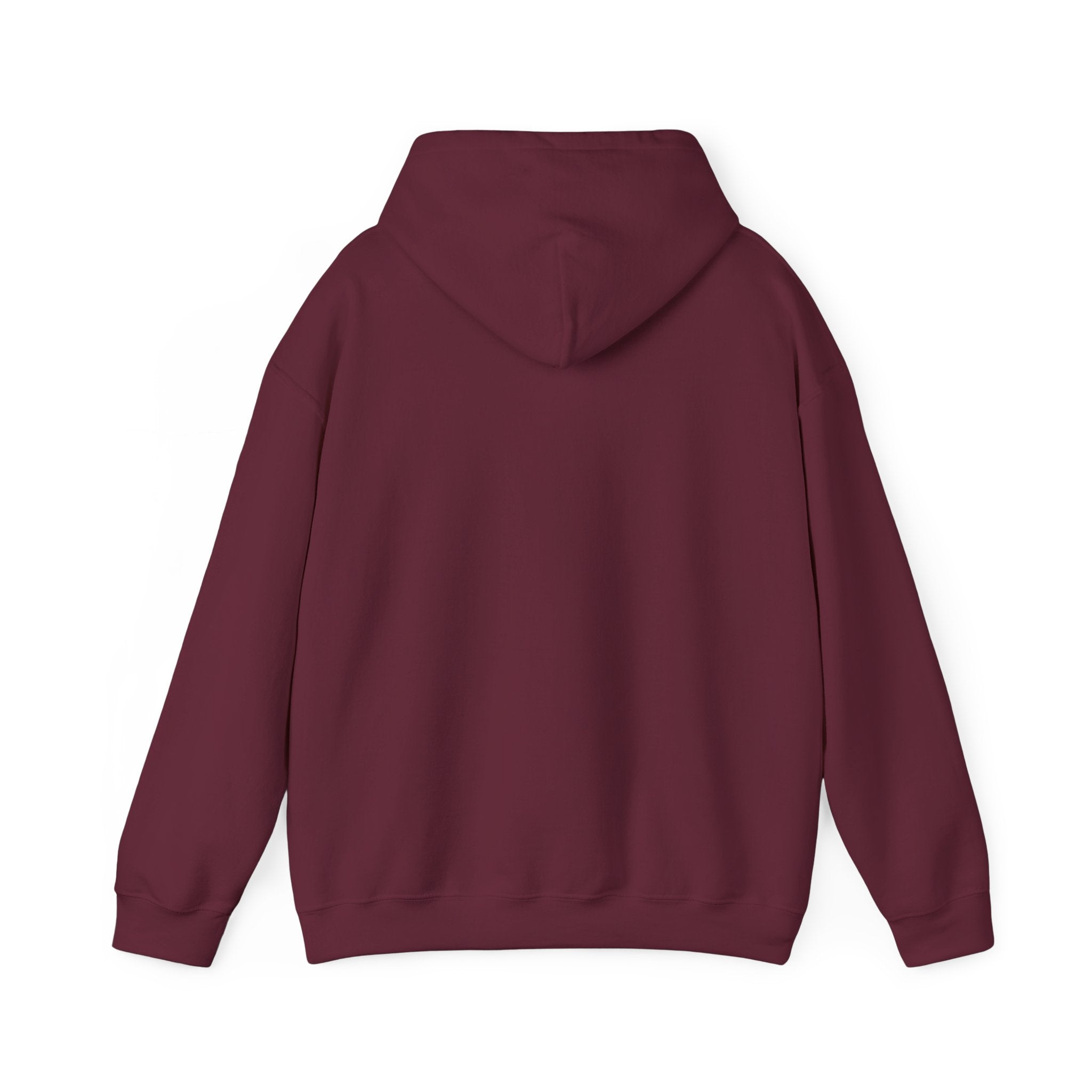 Minnesota Miss Football Hoodie — Cute State Pride Pullover
