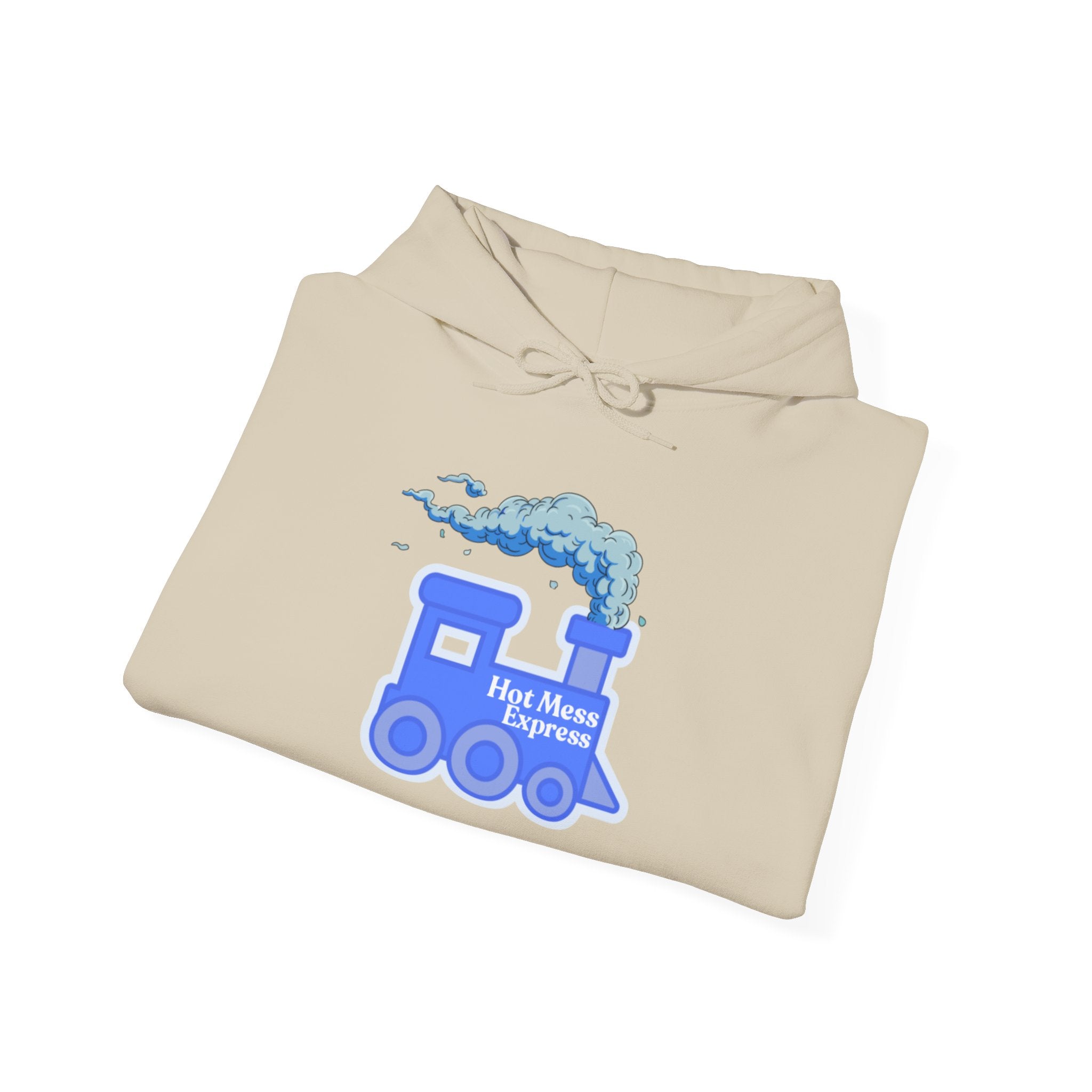 Hot Mess Express Hoodie