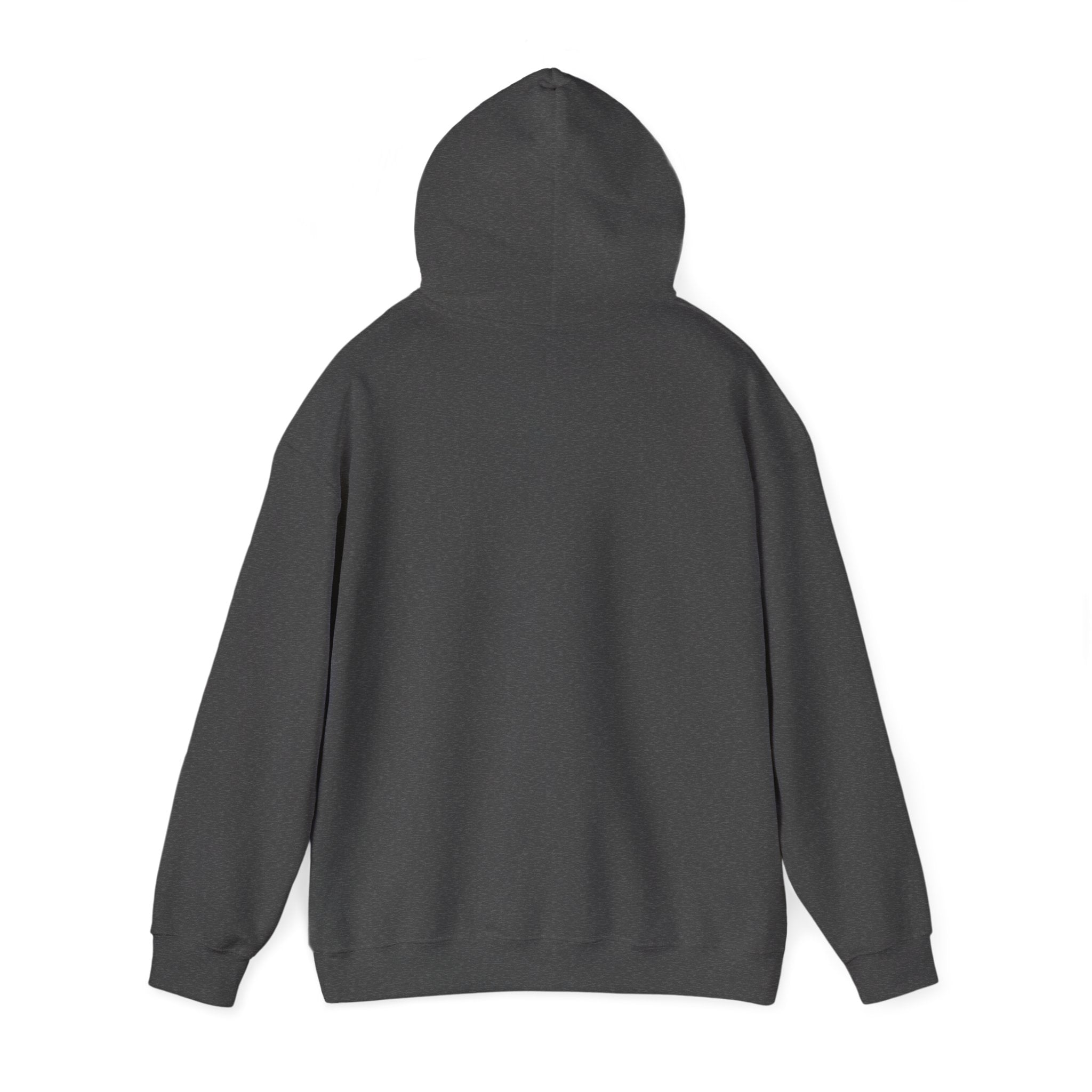 Minnesota Miss Football Hoodie — Cute State Pride Pullover